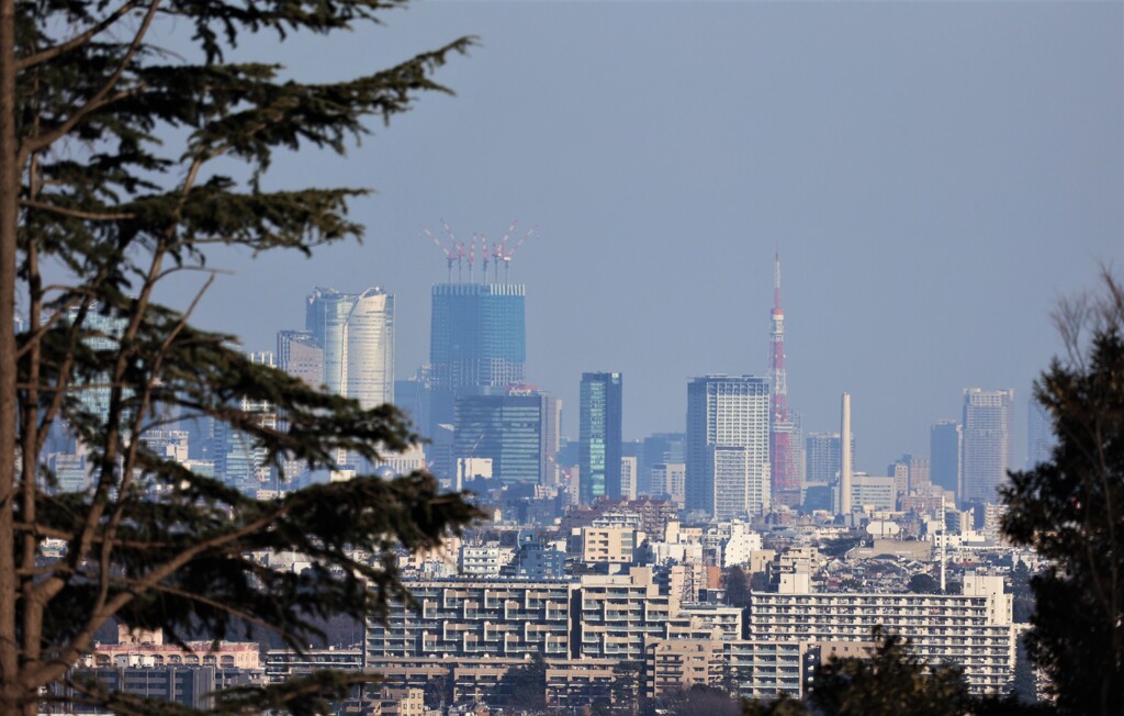 六本木に行ったつもり