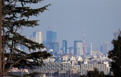 六本木に行ったつもり