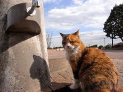 蛇口を早く開けてよ