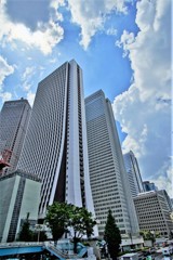 今日の主役は雲