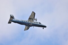 三宅島から到着