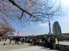 観光客は少なく見えますが…