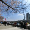 観光客は少なく見えますが…