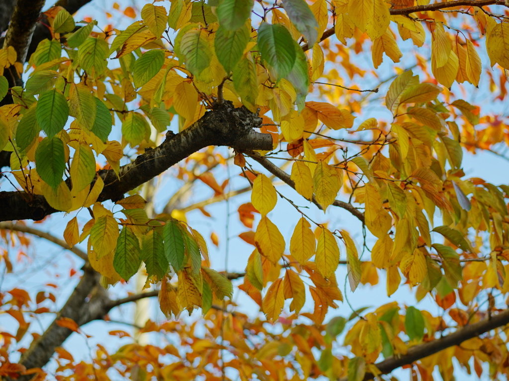 立体感のある美しさ