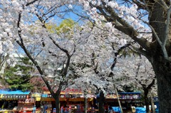 靖国神社