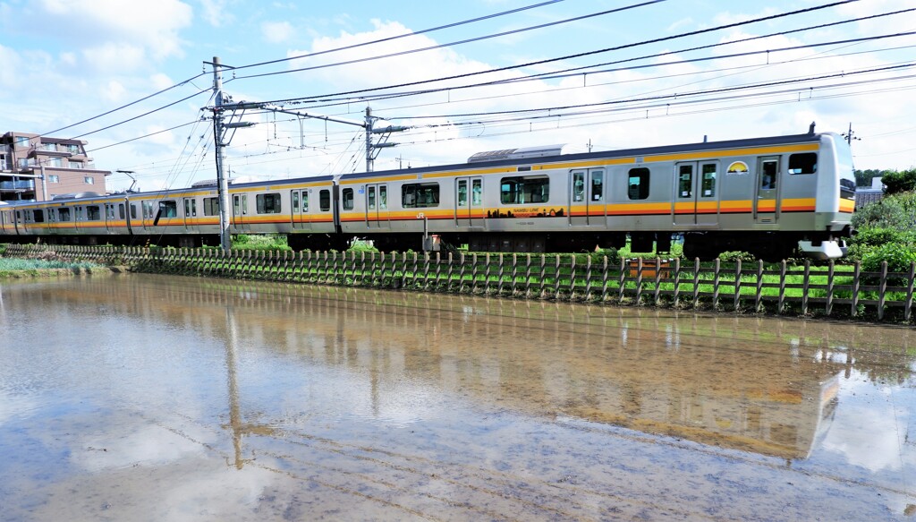 水田のリフレクション