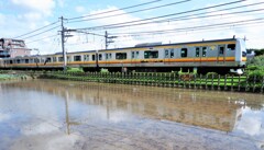 水田のリフレクション