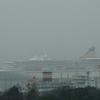 雪に煙る横浜港