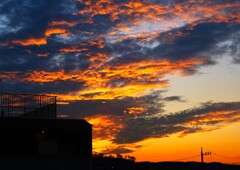 今日のヘッドライン