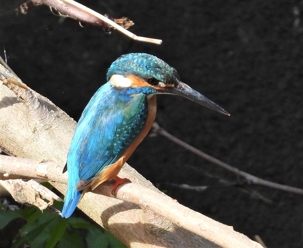 不思議なことに