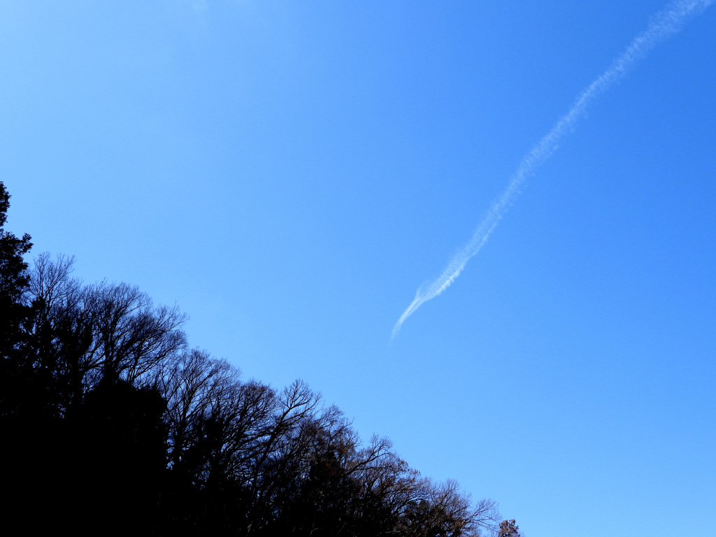 鶴のような飛行機雲