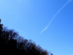 鶴のような飛行機雲