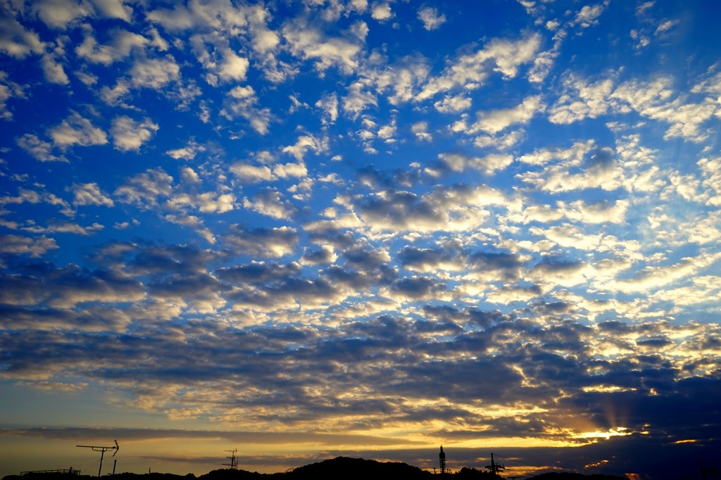 命を想う夕暮れ