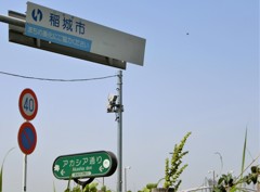 Yes/いなぎ