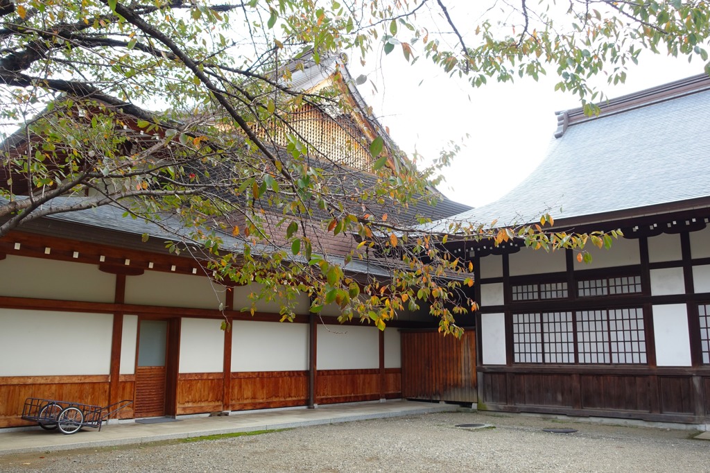 今朝の靖国神社