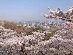 展望台の眺望が凄い！