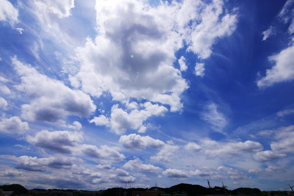 夏だ！ビールだ！