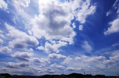 夏だ！ビールだ！