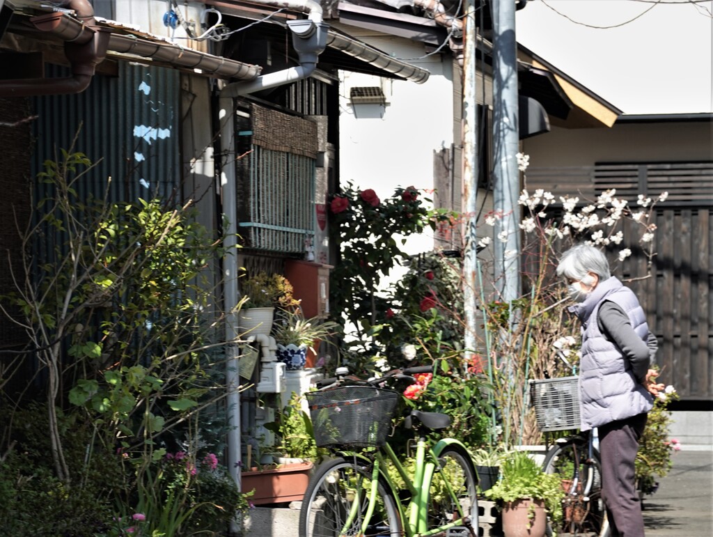 下町のおばあちゃん
