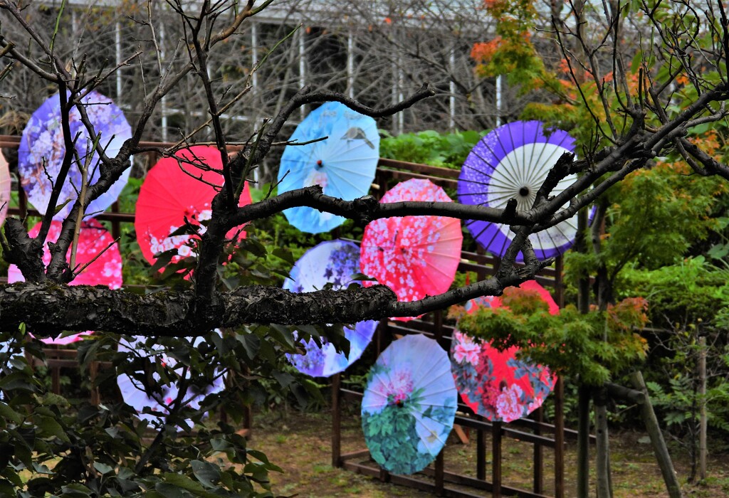 和傘の飾り