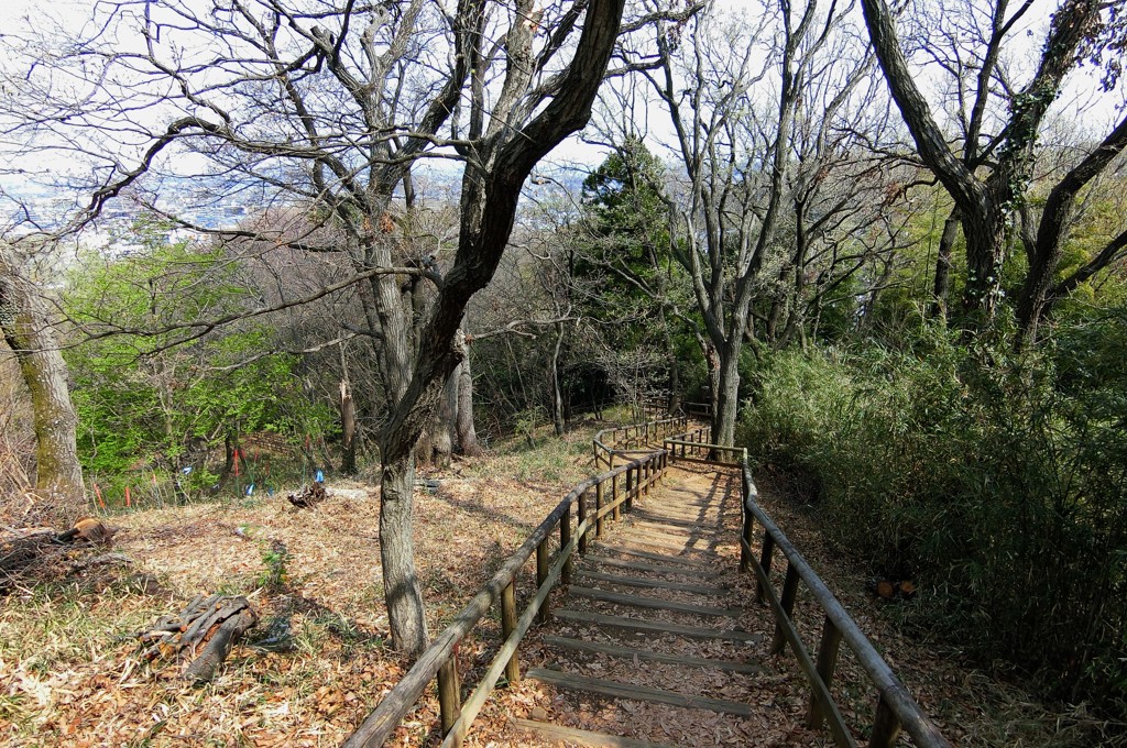 枡形城址からの急坂
