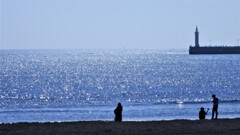 煌めく海の美しさ