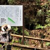 生田長者穴横穴墓群