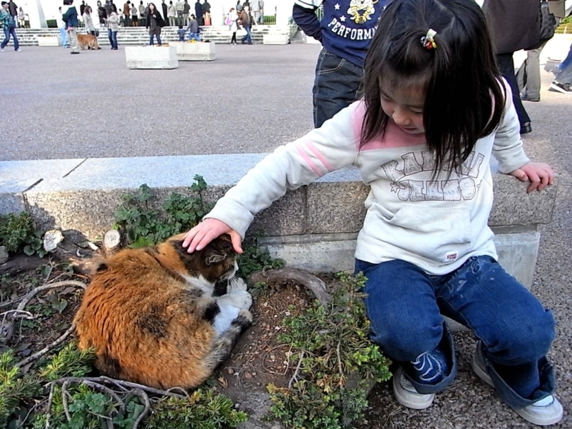なんばしよっと