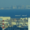 羽田空港のラッシュアワーのようです