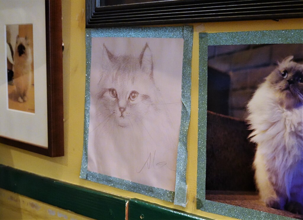 八代亜紀さんのスケッチ