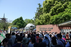 整理券を渡して20分並ぶ