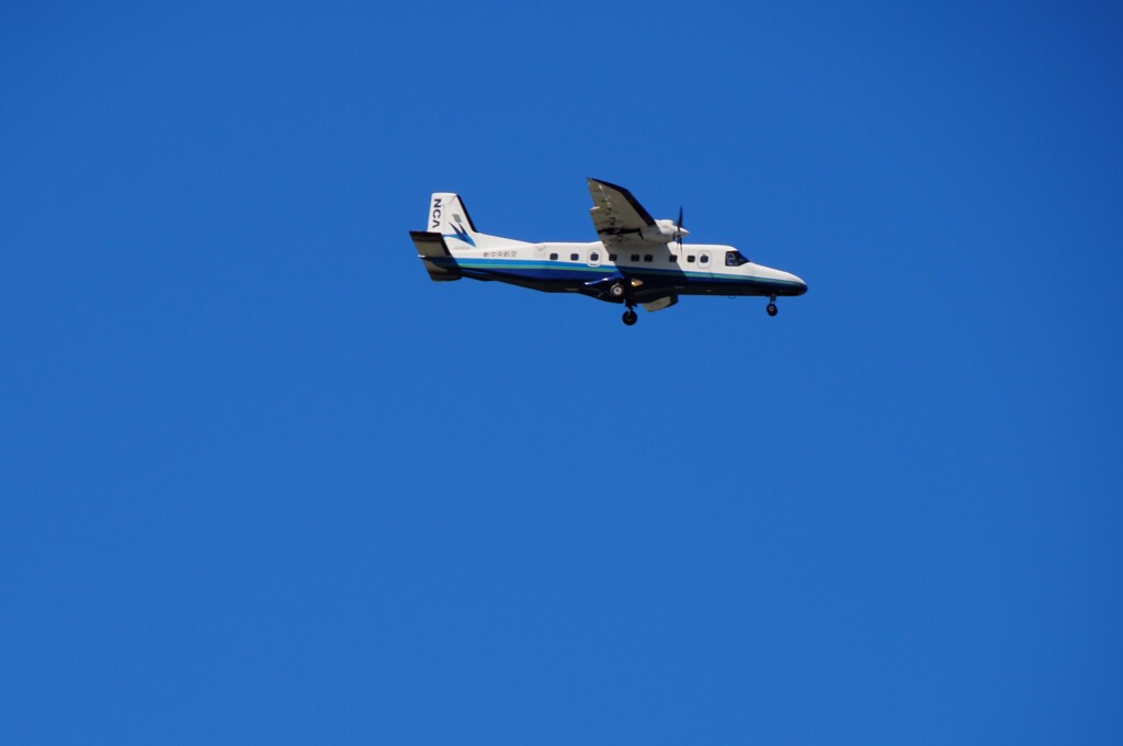 乗りたいような、乗りたくないような