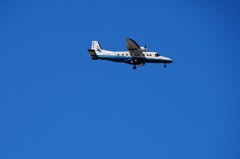 乗りたいような、乗りたくないような