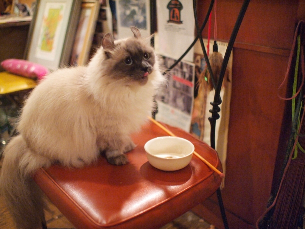 美人ママのクーちゃん