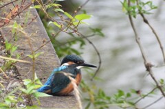 抜きつ抜かれつ