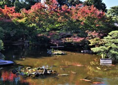 清泉池