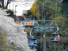 よみうり山も