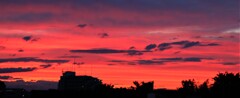 深紅の夕焼け
