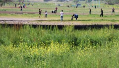 多摩川.com