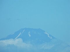 1500㎜くらい