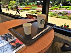 本を読む日