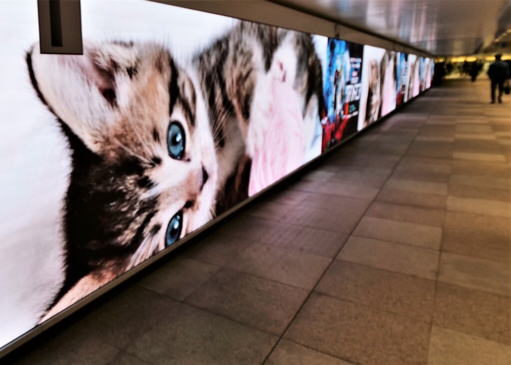 新宿駅中央通路