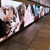 新宿駅中央通路