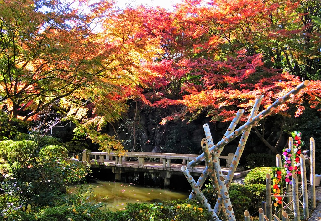 紅葉のピーク