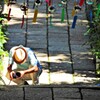 お仲間