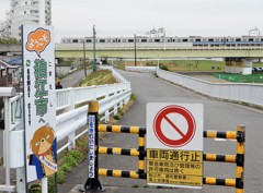 狛江市の観光大使は犬