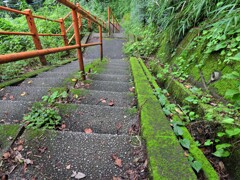 苔むす石段