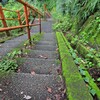 苔むす石段