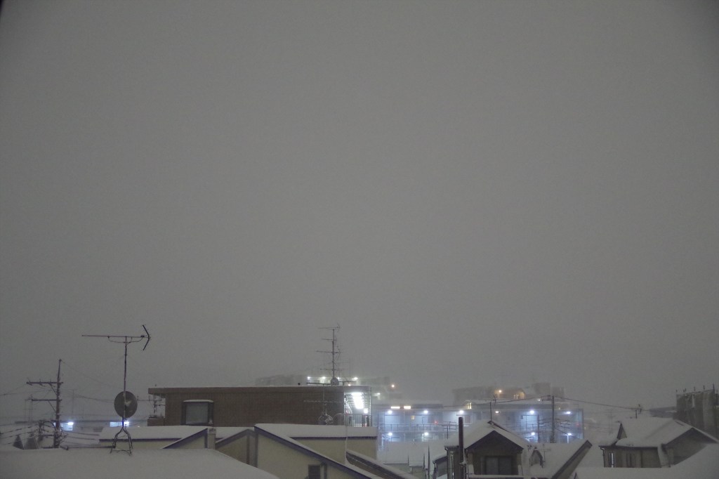 白夜？