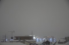 白夜？